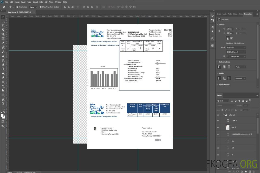 Modèle de facture de services publics des entreprises de la Toho Water Authority des États-Unis, de Floride, aux formats Word et PDF template